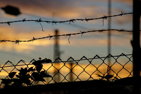 Barbed wireの写真素材