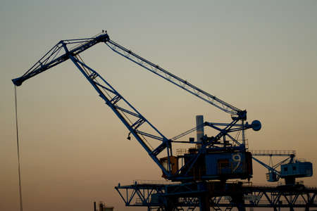 A craneの写真素材