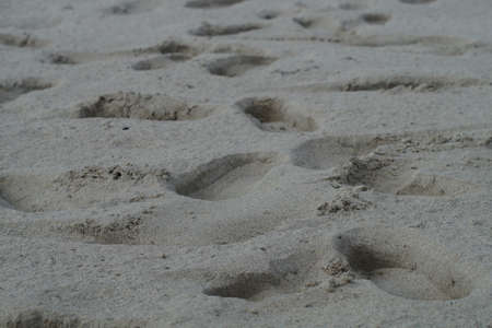 Traces in the sandの写真素材