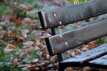 A bench in the parkの写真素材