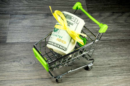 Shopping Cart with money
