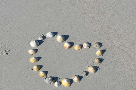 Heart from sea shells on the beach