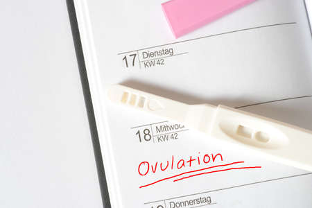Ovulation test and notebook