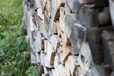 A pile from the woodの写真素材