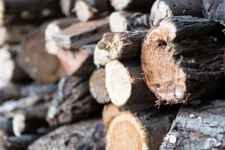A pile from the wood
