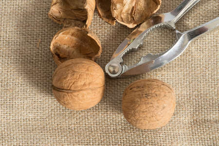 Nutcracker and walnuts