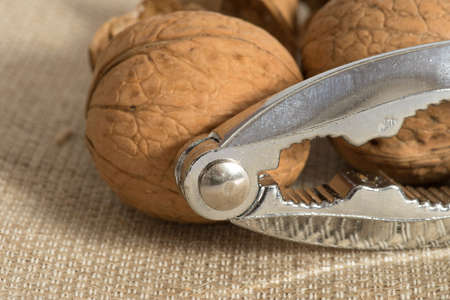 Nutcracker and walnuts