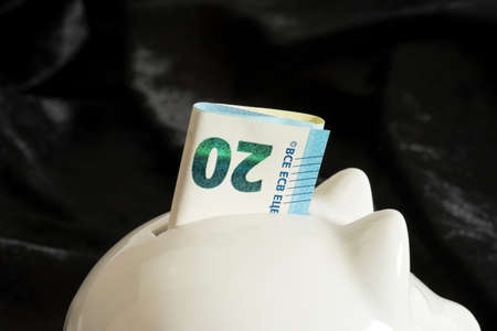 Euro bank note and a piggy bank
