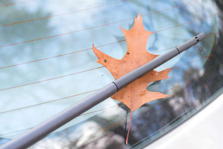 Autumn and a fallen leaf on the disc of a car