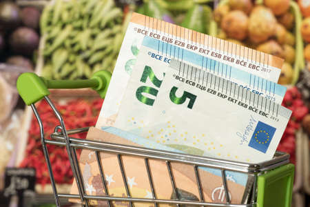 Shopping cart, Euro bills and foodの写真素材
