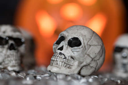 Skull, Pumpkin and Helloweenの写真素材