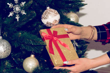 A woman with a Christmas present