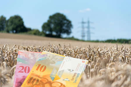 Money Swiss francs and agriculture in Switzerlandの写真素材