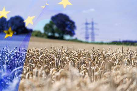 European Union flag EU and agriculture in Europe