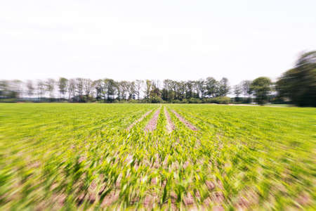 View of a fieldの写真素材
