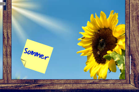 A sunflower and note summerの写真素材
