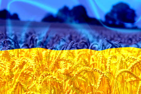 Flag of Ukraine and agricultureの写真素材