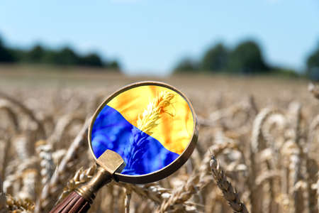 Flag of Ukraine and agricultureの写真素材