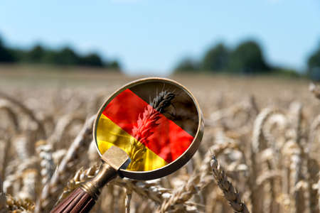 Flag of Germany and agricultureの写真素材