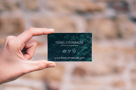Hand holding a green credit card against the background of a stone wall