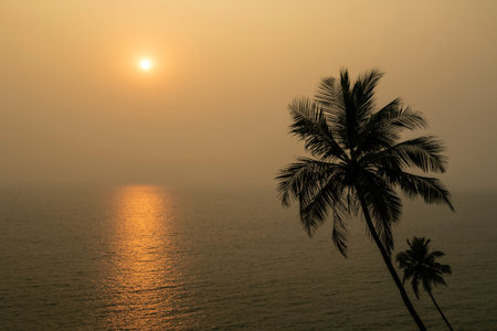 Sunset over the sea with coconut palm trees silhouetted.の写真素材