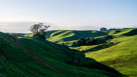 Beautiful green hills in the countryside of New South Wales, Australiaの写真素材