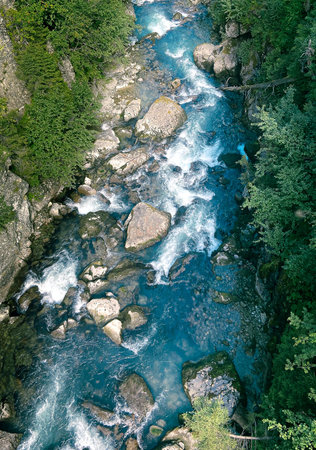 Aerial view of a mountain river flowing through the forest. Beautiful summer landscape.