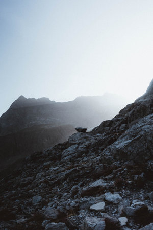 Mountain landscape with rocks and fog in the morning. Toned.