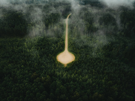 Aerial view of a small road in the middle of a forestの写真素材