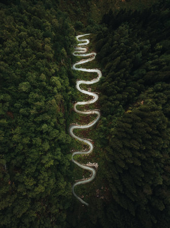 Aerial view of winding road in the forest. Drone photography.