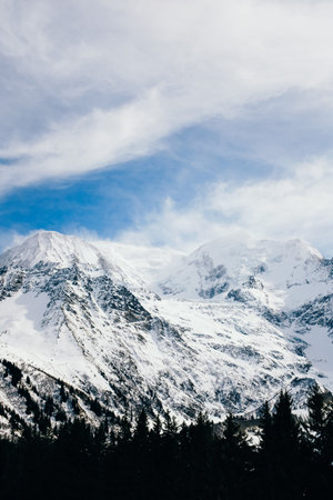 Mountain landscape with snow covered peaks and coniferous forest.