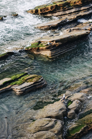 Seagulls on the rocks in the sea. Selective focus.