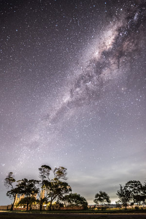 Milky Way and Tree at Phu Kradueng National Park, Loei, Thailandの写真素材