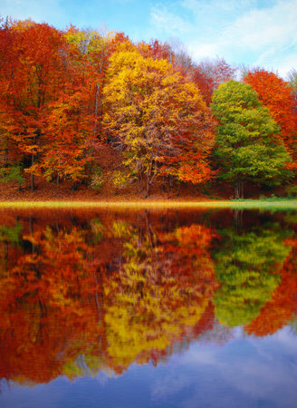 Autumn forest reflected in the lake. Colorful autumn landscape.