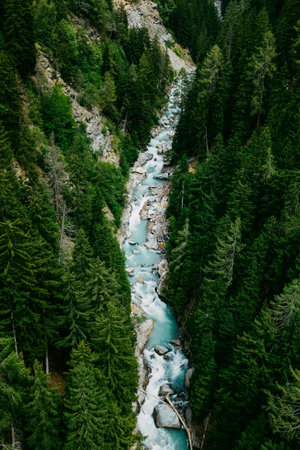 Aerial view of a mountain river flowing through the coniferous forest