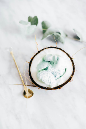 Coconut ice cream with eucalyptus backgroundの写真素材