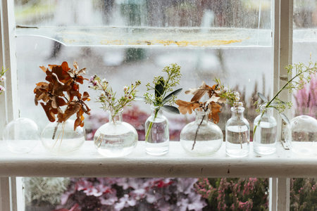 Glass bottles with dried flowers and leaves on the windowsill