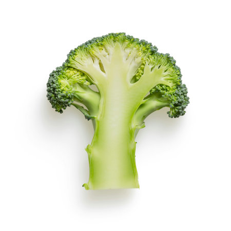 Fresh green broccoli isolated on white background. Top view. Flat lay.の写真素材