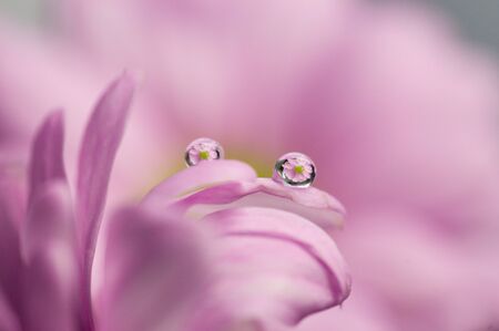 Twinsの写真素材