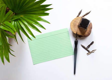 Black ink and ink bottle and green plant, blank color sheet mockup and ink pen on a white...
