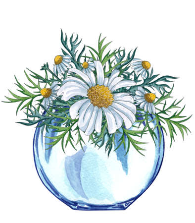Watercolor glass vase with flower bouquet inside, hand drawn isolated on a white background. Watercolor illustration of jar with bouquet of chamomile flowers.  Spring wildflowers bouquetの写真素材