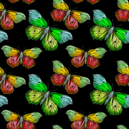 Butterflies moths insects animals fly. Seamless pattern with bytterflies. Wallpaper. Rose Chamomile Wildflowers Floral.の写真素材