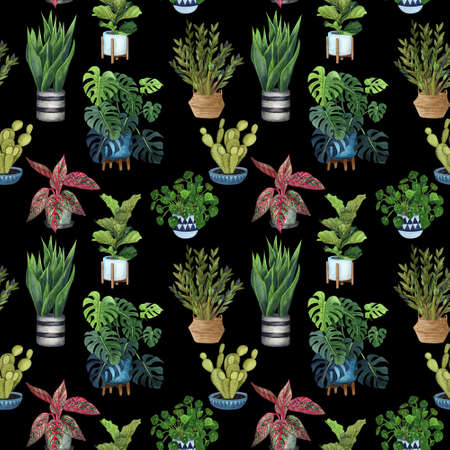Indoor plant watercolor seamless pattern. Home plants, fig tree, ZZ Plant (Zamioculcas),  Snake Plant (Sansevieria),  Fiddle Leaf Fig,  missionary plants, ficus, monstera in a pot.の写真素材