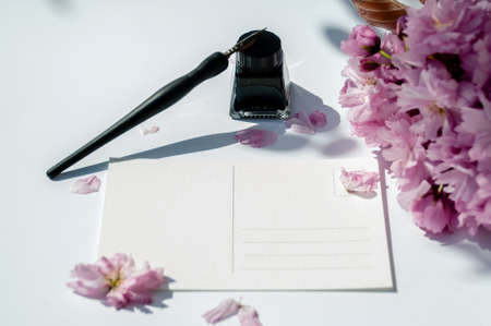 Old ink pen and ink bottle on white background. Vintage calligraphy pen and bottle of ink. Selective focus. Tender pink flowers in the background. Cherry blossom twig with black ink and postcard. Mockupの写真素材