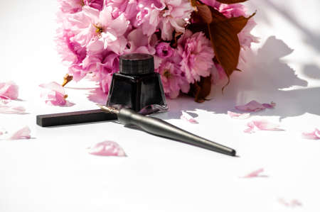 Old ink pen and ink bottle on white background. Vintage calligraphy pen and bottle of ink. Selective...