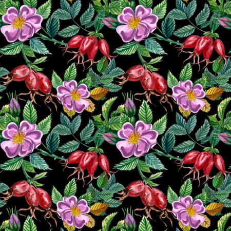 Floral seamless pattern with pink wild rose, rose hip, dog rose, green leaves and red berries, hand drawn watercolor pattern. Design for  fabric, invitation, wedding or greeting cardsの写真素材