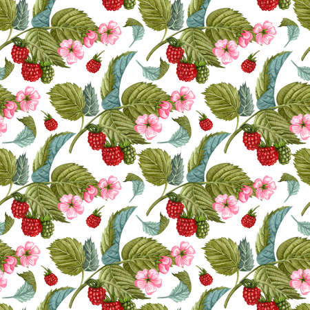 Watercolor raspberry seamless pattern on white. Raspberry berries and flowers pattern. Seamless...
