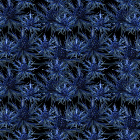 Seamless pattern with watercolor blue thorn. Floral hand drawn thistle flowers  illustration on black background. Perfect for greetings, invitations, wrapping paper.の写真素材