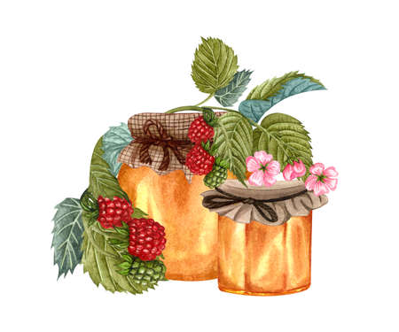 Watercolor honey jar and fresh forest raspberry twig. Hand drawn organic food illustration isolated...