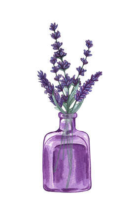 Watercolor bouquet of lavender. Hand drawn Illustration for greeting cards, invitations, and other printing projectsの写真素材